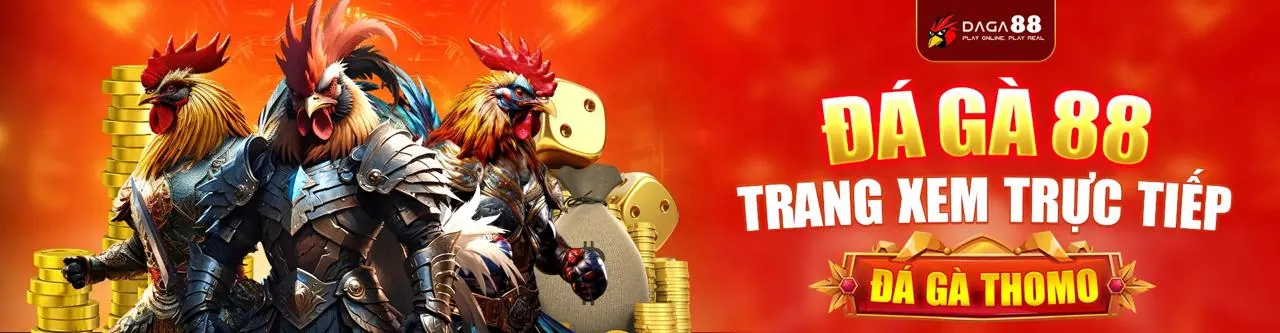 Đá gà trực tuyến kịch tính tại okchoi app
