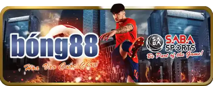 Thưởng và Hoàn trả Cao cấp